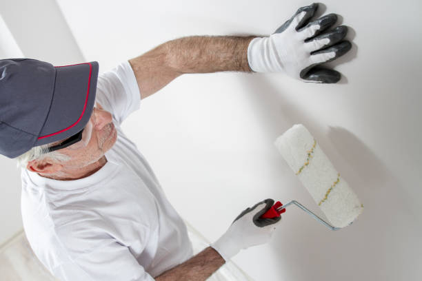 Best Attic Mold Removal  in Kirby, TX