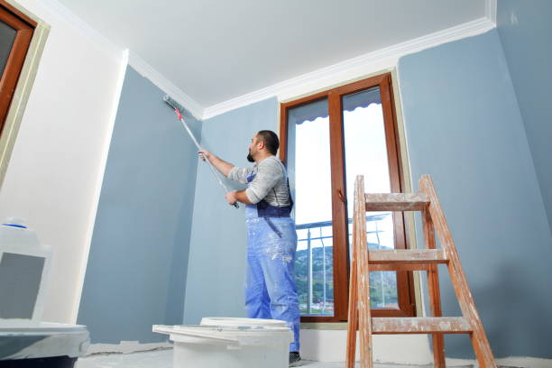 Best Basement Mold Removal  in Kirby, TX