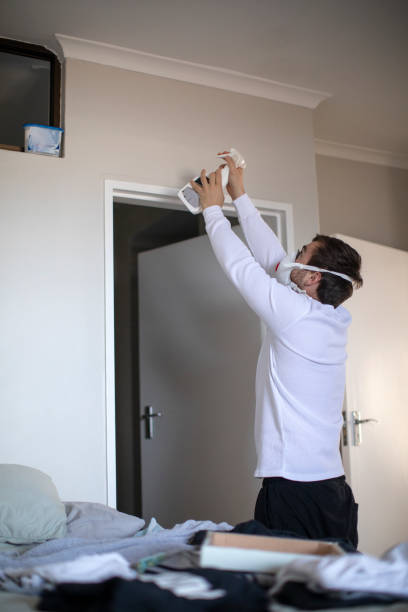 Best Emergency Mold Remediation  in Kirby, TX