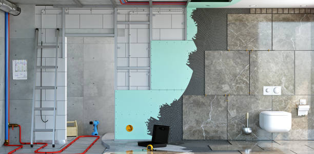Reliable Kirby, TX Mold Removal Solutions