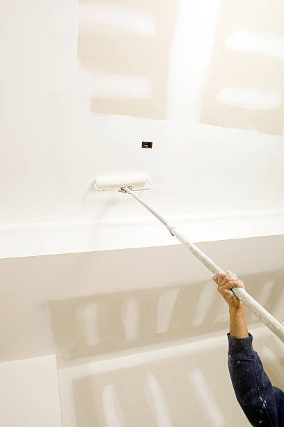 Best Mold Prevention Services  in Kirby, TX