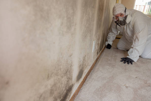 Best Air Quality Testing for Mold Spores  in Kirby, TX
