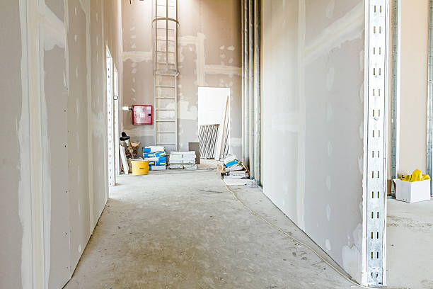 Best Post-Remediation Verification Testing  in Kirby, TX